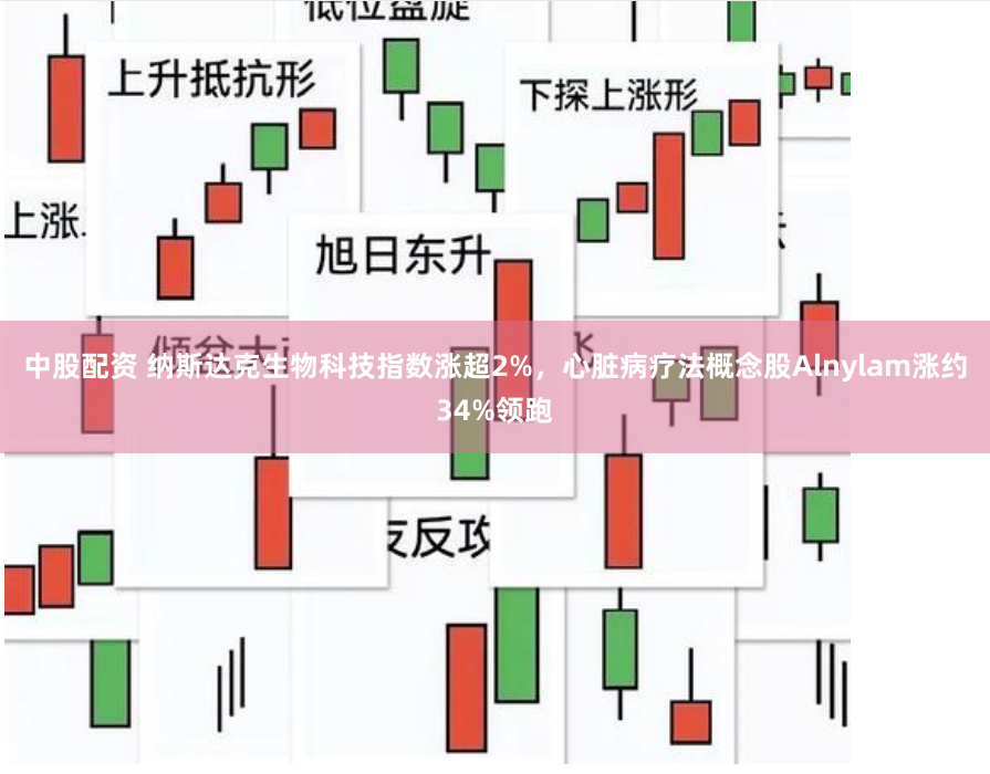 中股配资 纳斯达克生物科技指数涨超2%，心脏病疗法概念股Alnylam涨约34%领跑